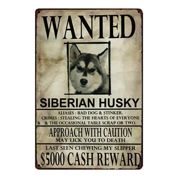 Husky siberiano Cães Wanied Sinal de Metal Estanho Cartaz de Decoração de Casa de Barra de Arte de Parede Pintura 20*30 CM de Tamanho